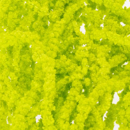 Artikel Gedroogde bloemen Amarant geverfd voor bijzondere woondecoratie en unieke accenten 100 cm, 5 stuks