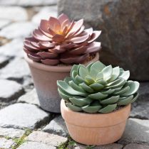 Artikel Vetplant in pot Echeveria kunstgroen Ø15cm