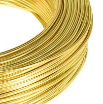 Artikel Ambachtelijke draad goud aluminiumdraad voor ambachten Ø2mm L60m