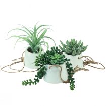 Hangmanden vetplanten kunstgroen assorti 18cm 3st