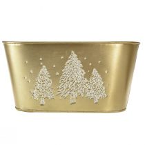 Artikel Decoratieve schaal ovale kerstboomplanter goud 24×13×12,5cm