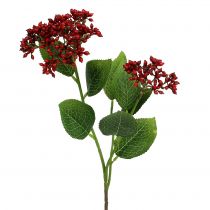 Artikel Bessentak Rode planten van viburnum 54cm 4st