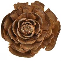 Artikel Cederkegels gesneden als roos cederroos 4-6cm naturel 50st