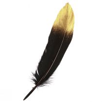 Decoratieve veren zwart goud echte ganzenveren 15-20cm 50st