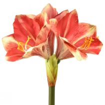 Kunstamaryllis roze en crème – bloem met grote stengel 76 cm