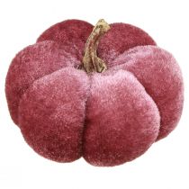 Artikel Pompoen van stof decoratie fluweel bordeaux roze Ø7cm 9 st