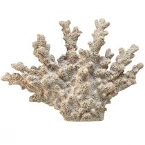 Artikel Gedetailleerde koraaldecoratie van polyresin in grijs - 26 cm - maritieme elegantie voor uw huis
