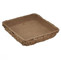 Oasis Biolit ondervloer ½ steekschuimsteen 13×13×2cm 12st