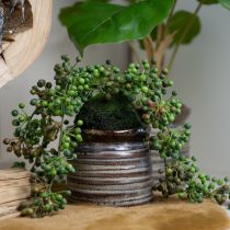 Artikel Groene plant kunstparelsnoer in mosbol 38cm