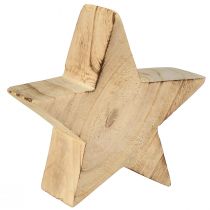 Artikel Rustieke decoratieve ster van paulowniahout - natuurlijk design, Ø 15 cm, 6 cm dik - veelzijdige houten decoratie - 2 stuks