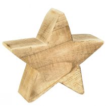 Artikel Rustieke decoratieve ster van paulowniahout - natuurlijke houtlook, 25x8 cm - veelzijdige kamerdecoratie