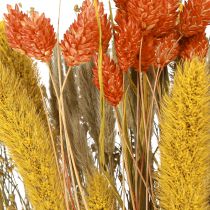 Artikel Droogbloemenboeket met nerf oranjegeel 50cm