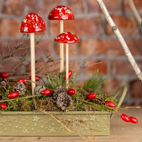 Artikel Paddestoelen op stokje, rood, 4cm, set van 6 - decoratieve tuinpaddestoelen voor herfstdecoratie