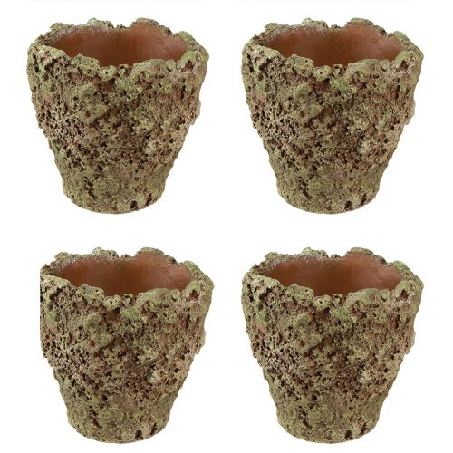 Artikel Plantenpot rustieke plantenbak moslook Ø17cm H16,5cm 4st