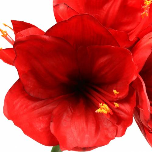 Artikel Amaryllis rood 75cm