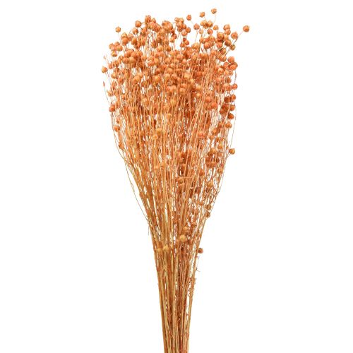 Floristik24 Deco Vlas Gedroogd Droogbloemen Abrikoos Naturel 80g