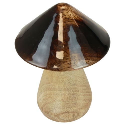 Artikel Decoratieve paddestoel houten paddestoel naturel bruin glanseffect Ø7,5cm H10cm