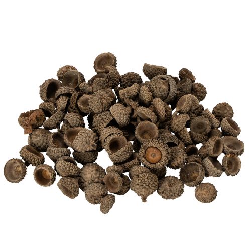 Artikel Natuurlijke eikelkapjes, decoratieve schalen voor de herfst en advent, 2 cm, 300 g