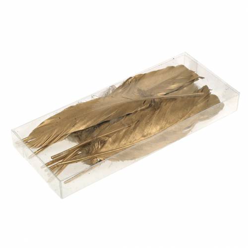 Floristik24 Gouden veren voor handwerk 16-18cm 12st