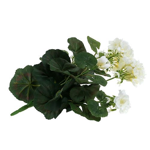 Artikel Geraniumstruik wit 38cm