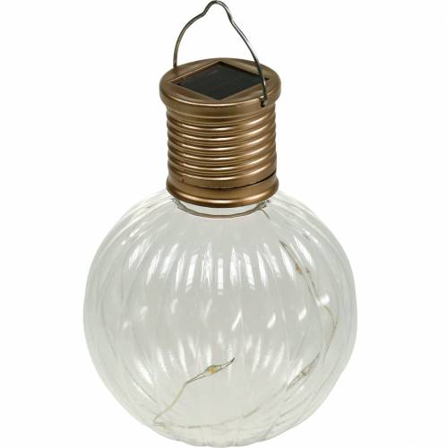 Couscous meditatie tussen Floristik24.nl Solar LED lamp retro look transparant warm wit Ø8cm - goedkoop  online kopen