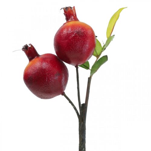 Ga op pad Alfabetische volgorde Herdenkings Floristik24.nl Decoratie fruit & voedsel - goedkoop online kopen