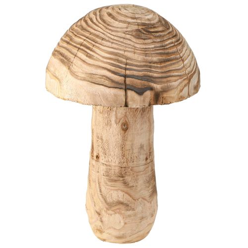 Grote houten paddestoel decoratieve paddestoel hout Paulownia Ø21cm H33cm