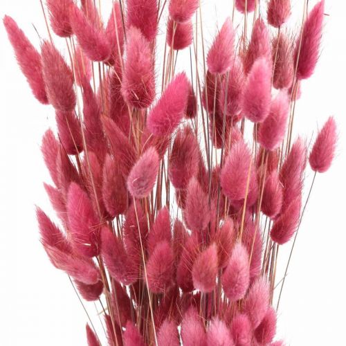 Artikel Konijnenstaart Gras Lagurus Gedroogd Oud Roze 60cm 50g