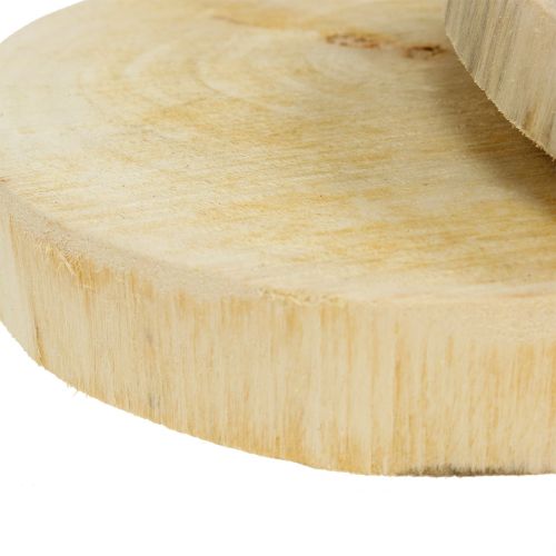 Floristik24 Houten schijven naturel Ø15cm 2st