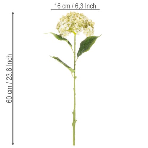 Artikel Kunstmatige hortensiabloem met lange steel en bladeren, 60 cm