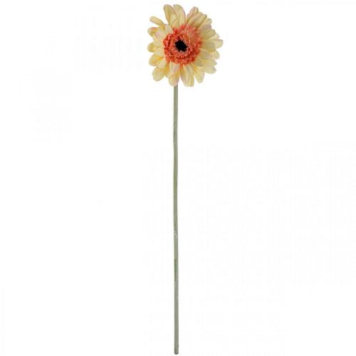 Artikel Kunstbloem gerbera kunstbloem abrikoos Ø11cm L50cm