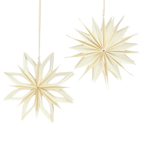 Floristik24 Papieren sterren boomdecoratie sterren wit goud Ø15cm 6 st