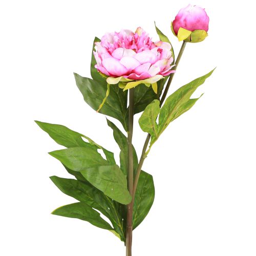 Pioenrozen Kunstbloemen met lange steel Roze 70cm 3st