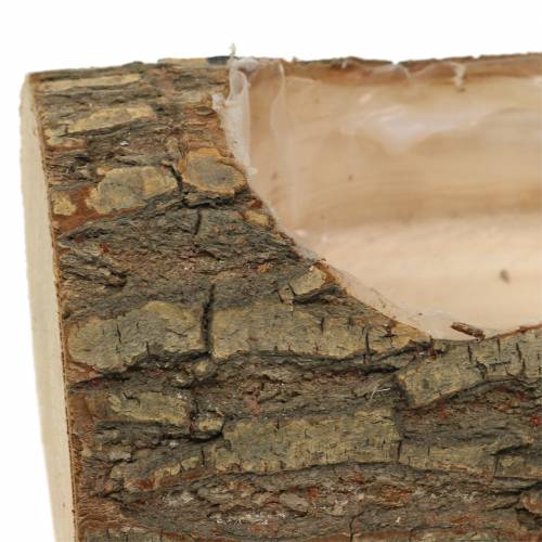 Floristik24 Plantenbak iepenhout 20cm x 11cm H9cm