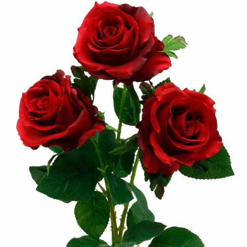 Janice postzegel racket Floristik24.nl Rode roos kunstrozen zijden bloemen 3st-11892 - koop  goedkoop online