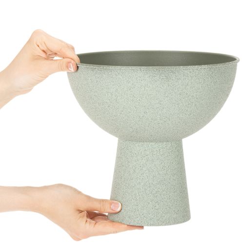 Artikel Schaal met standaard voor planten, decoratieve schaal, 25 cm