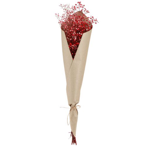 Artikel Gypsophila Gypsophila gedroogde bloemen rood 50cm 55g