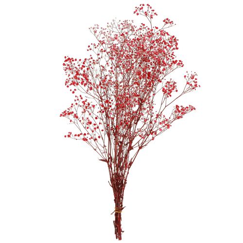 Artikel Gypsophila Gypsophila gedroogde bloemen rood 50cm 55g