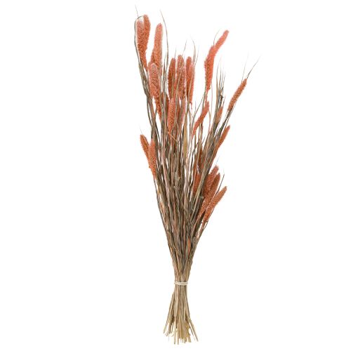 Artikel Setaria varkenshaar gierst droge decoratie zalm 69cm 70-75g x 2st