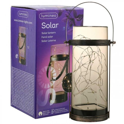 Artikel Solar lamp, lichtslang ter decoratie, tuinlantaarn LED warm wit H25cm