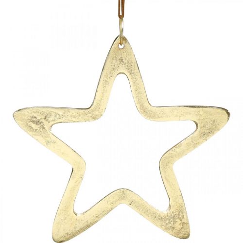 passend accent in plaats daarvan Floristik24.nl Kersthanger, sterdecoratie voor Advent, decoratie ster goud  14 × 14cm - goedkoop online kopen