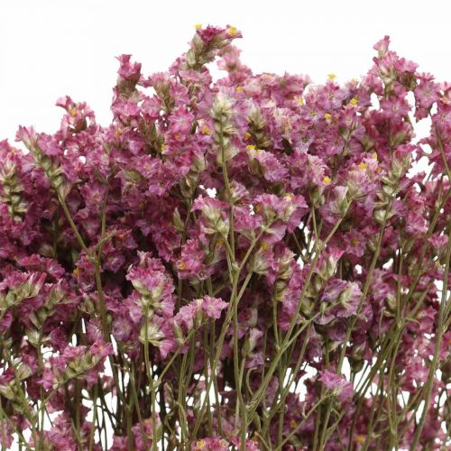 Floristik24 Statice, Zee Lavendel, Gedroogde Bloem, Wildflower Bos Roze L52cm 23g