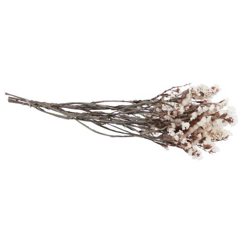 Artikel Strand Lila Witte Limonium Gedroogde Bloemen 60cm 35g