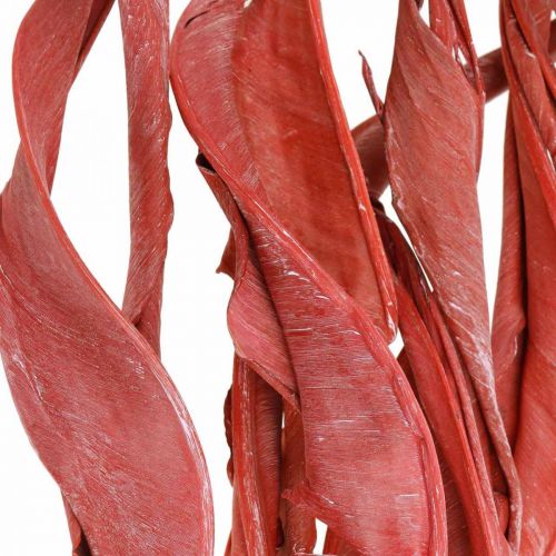 Artikel Strelitzia bladeren rood mat droog bloemisterij 45-80cm 10st