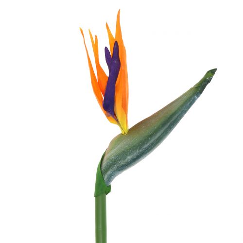 Strelitzia Bird of Paradise Kunstmatig 98cm