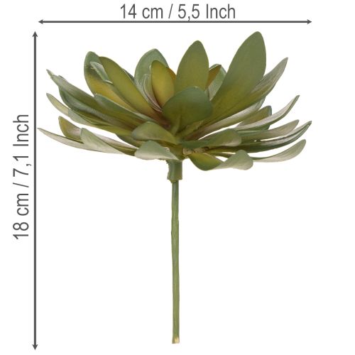 Artikel Kunstmatige vetplant als decoratieve plant, groen, 18 cm, 3 stuks