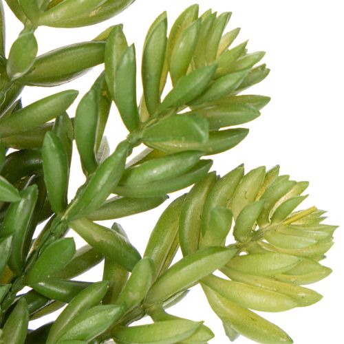 Artikel Kunstmatige vetplant voor een onderhoudsarme inrichting van woon- en kantoorruimtes, 15 cm, 6 stuks