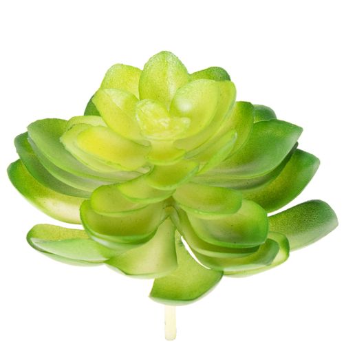 Artikel Kunstmatige vetplant, groen, voor decoratie in een schaal of vaas, 10 cm, 4 stuks