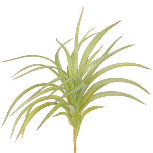 Tillandsia Groene Kunstplanten met Stok Ø17cm 3st