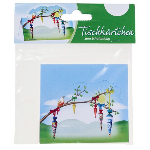 Artikel Tafeldecoratie school inschrijving, naamkaartjes school start decoratie 6×9cm 6st